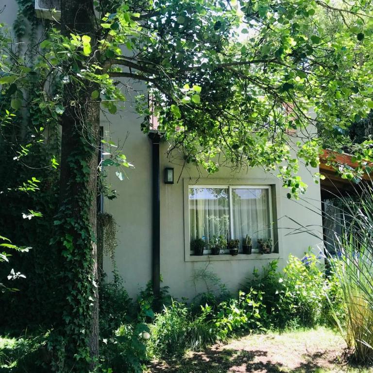 El Remanso Chascomus - Casa con 1 dormitorio - 4