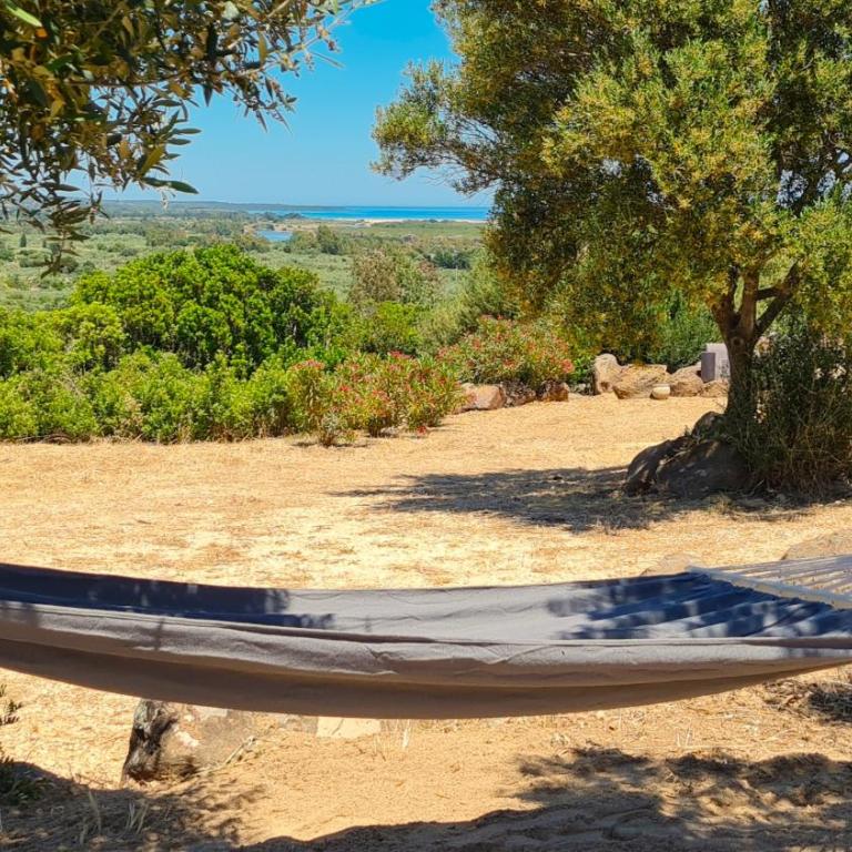 Country villa Sant' Elène - Appartamento Olivo - Appartamento con 2 Camere da Letto - 52