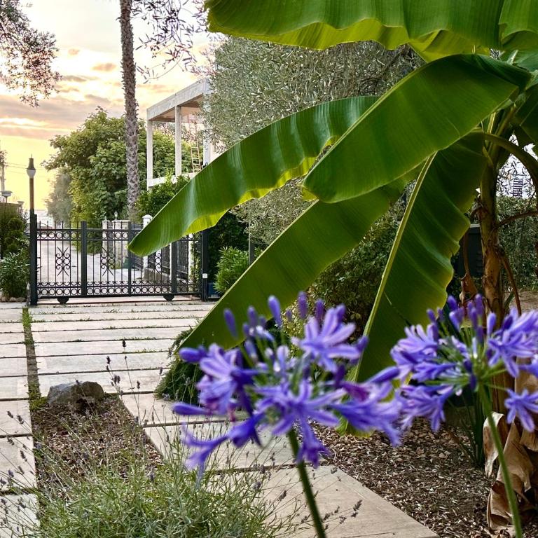 La Laguna Boutique Apartments - Apartman sa 2 Spavaće Sobe - 8