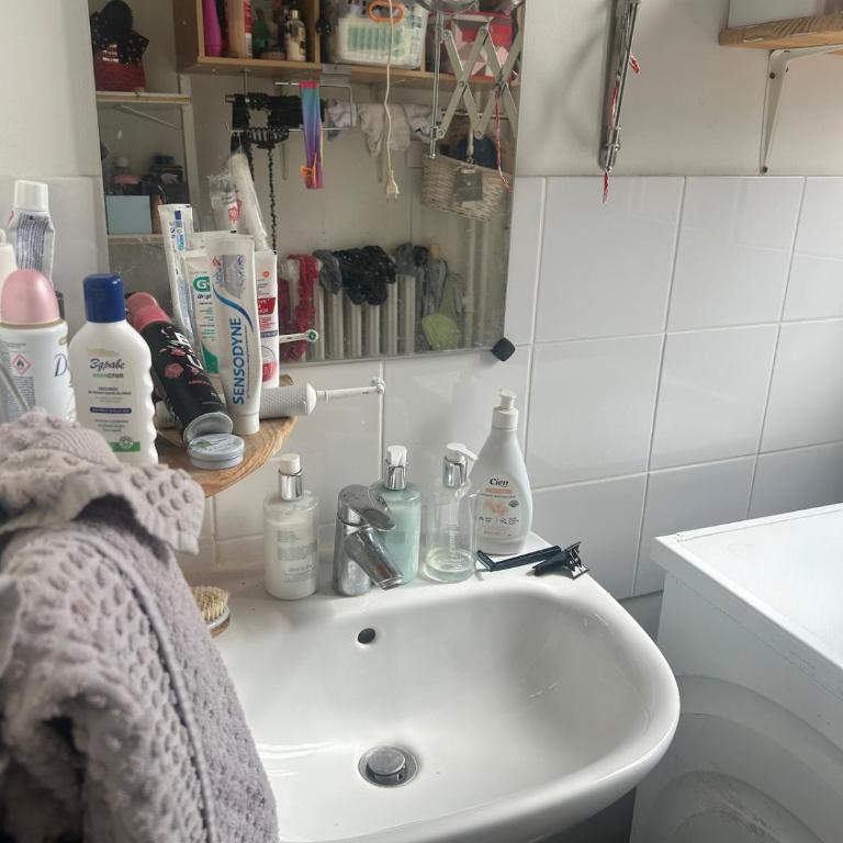 Family apartment in Paris - Appartement 1 Chambre - 16