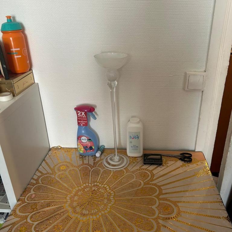 Family apartment in Paris - Appartement 1 Chambre - 32