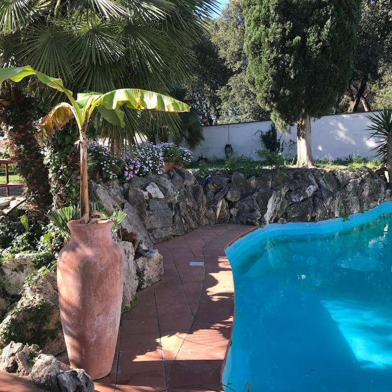 Luxury Villa with Swimming Pool in Rome - Villa - 28