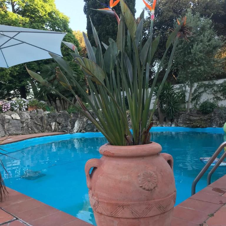 Luxury Villa with Swimming Pool in Rome - Villa - 67