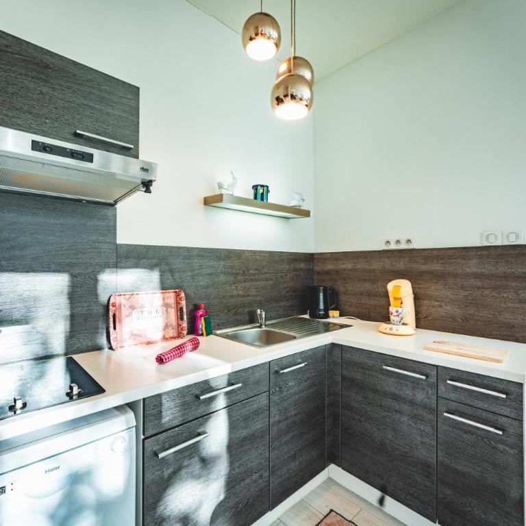 Le Roussel - Appartement 1 Chambre - 9