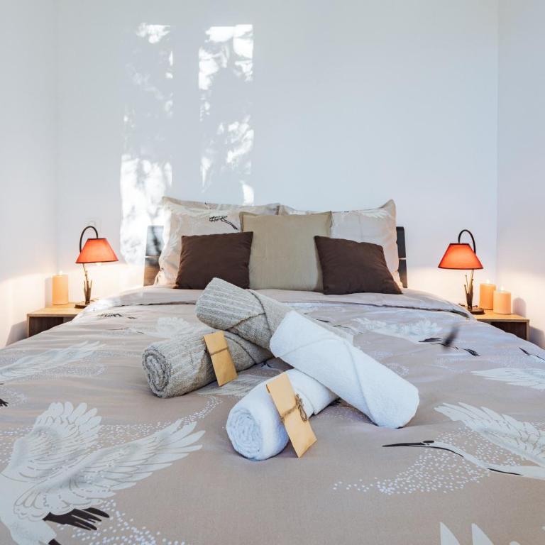 Le Roussel - Appartement 1 Chambre - 10