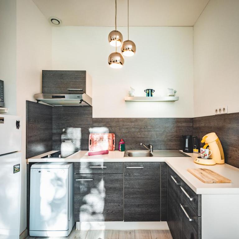 Le Roussel - Appartement 1 Chambre - 11