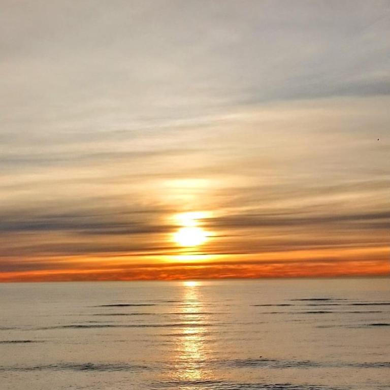 Teros - Apartamento de 1 dormitorio - 13