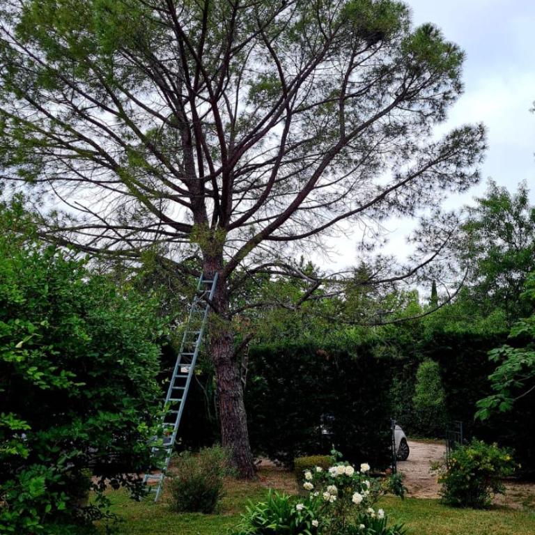 Villa d'antiquaire Heure bleue - 160 m2 Suites et Jardin à 10 mn à pied du centre d'Uzès - Villa - 26