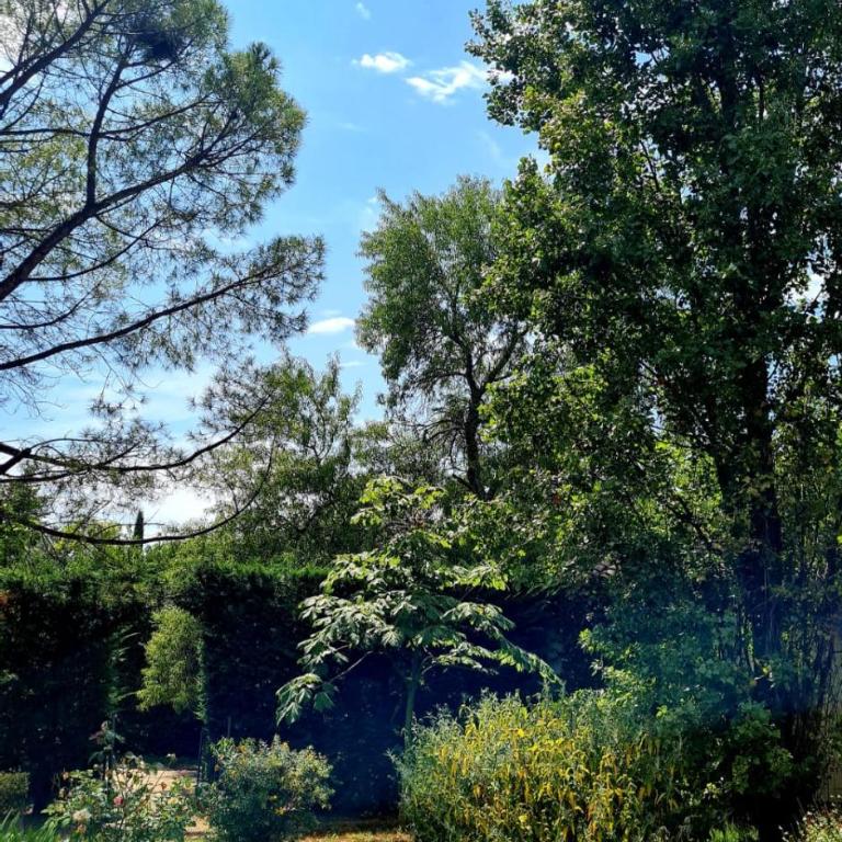Villa d'antiquaire Heure bleue - 160 m2 Suites et Jardin à 10 mn à pied du centre d'Uzès - Villa - 24
