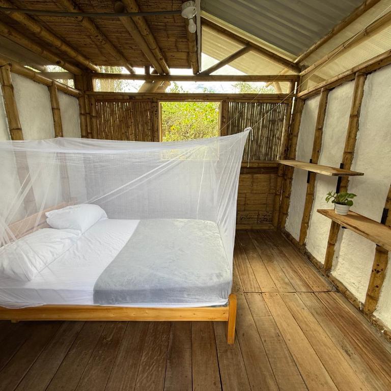 Bosque Seco Bioreserva & Hostel - Habitación Doble - 2