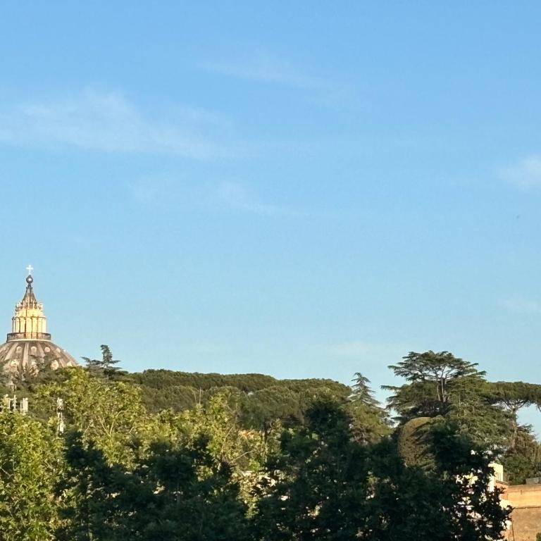 San Peter Dome Vista San Pietro - Appartamento Standard con 2 Camere da Letto - 39