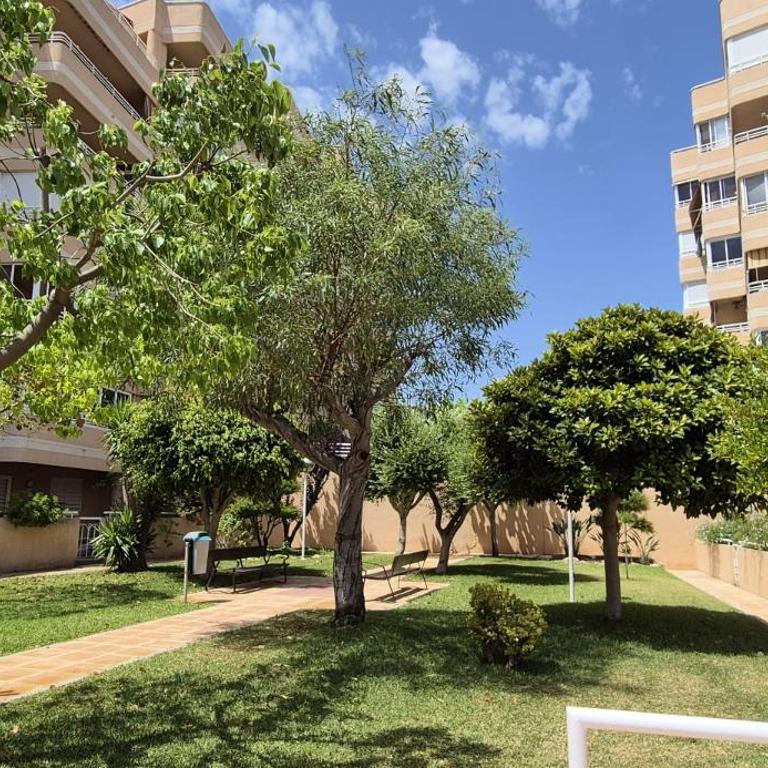 Sonia's Apartment Arenales - Two-Bedroom Apartment with Balcony and Sea View - 25