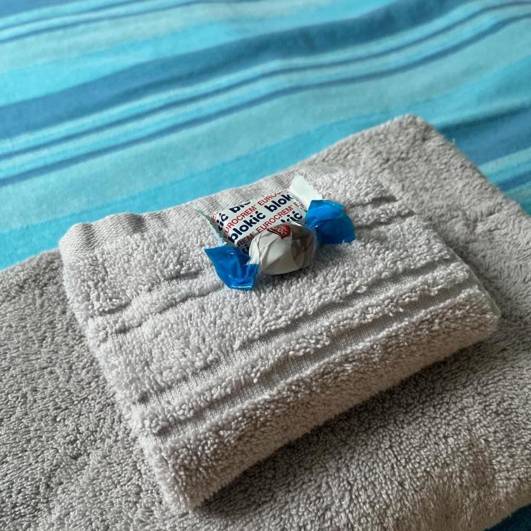 Apartman Bistrička - Studio - 2