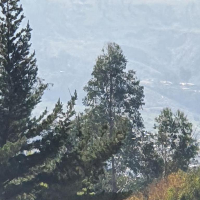 Mayk - One-Bedroom Apartment - 3