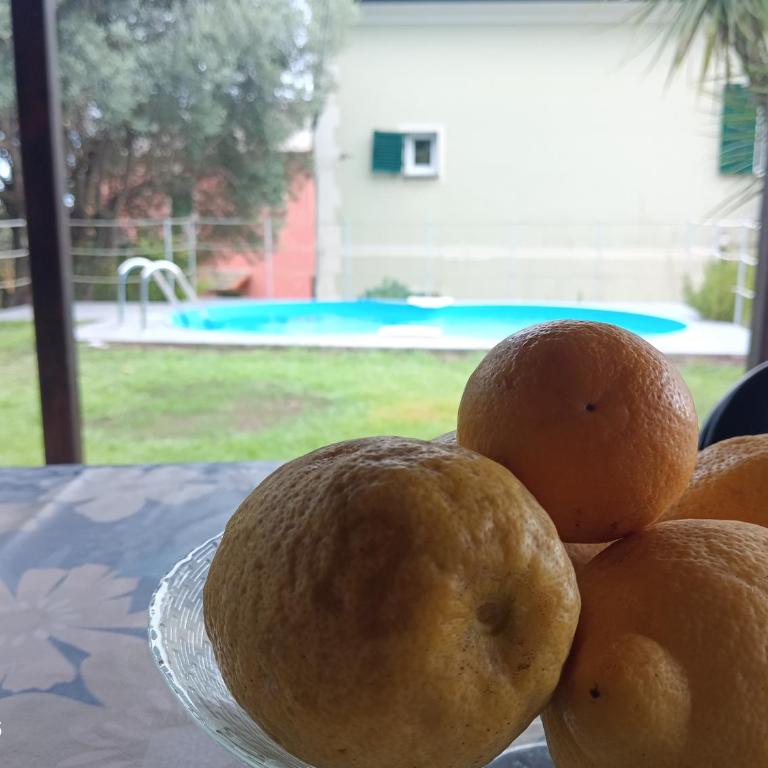 Oasi a Sant'Ilario - Two-Bedroom Apartment - 4