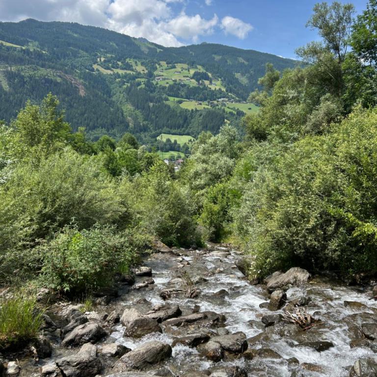 Zillertalerhütte - Haus mit 1 Schlafzimmer - 37