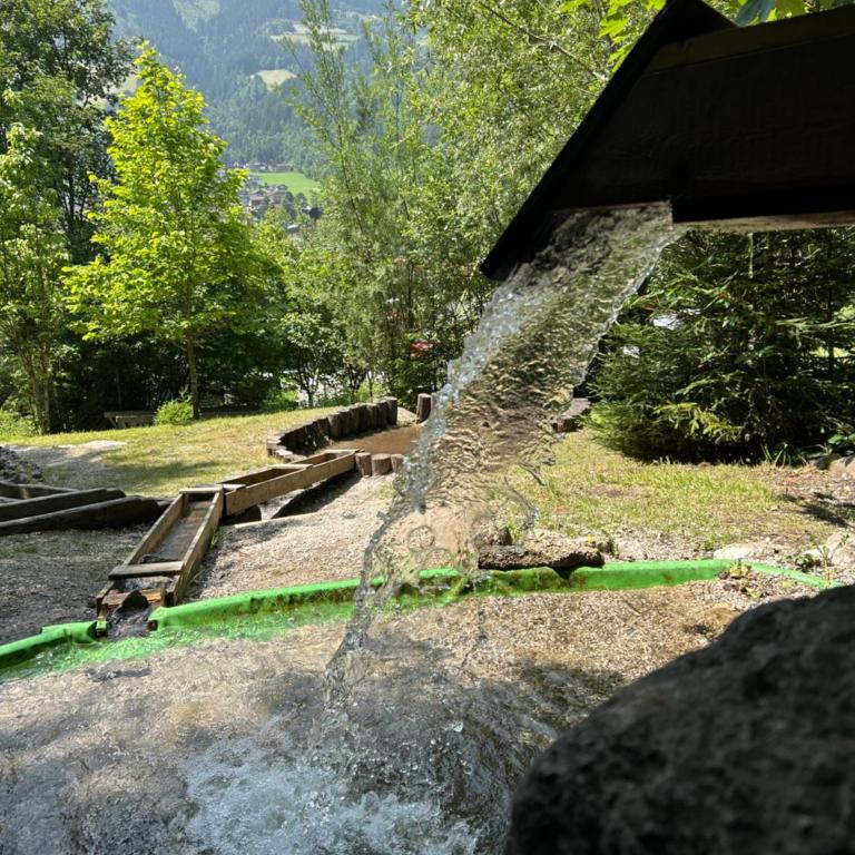 Zillertalerhütte - Haus mit 1 Schlafzimmer - 44
