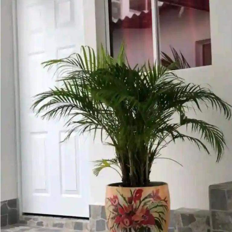 Refugio de estribor - Apartamento de 1 dormitorio - 2