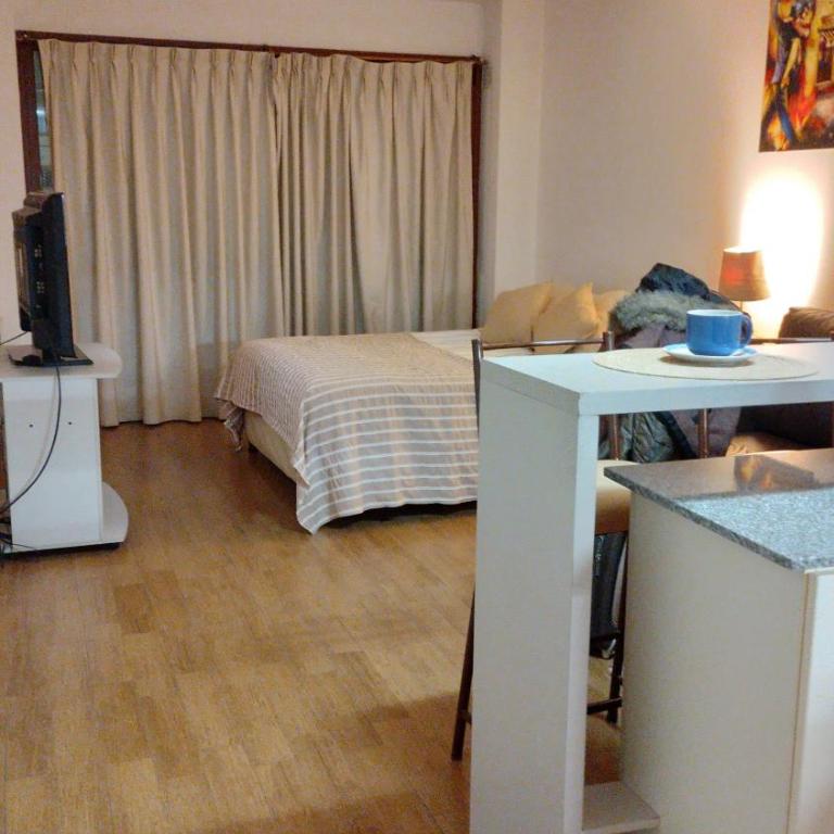 Departamento centro - Apartamento de 1 dormitorio - 10