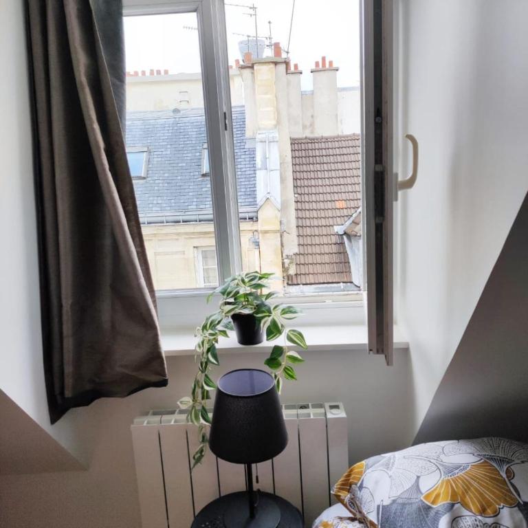 Nice studio best location - Appartement 1 Chambre - 3