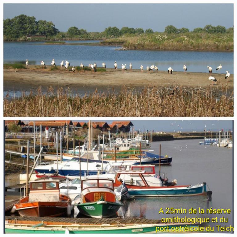 Maison au coeur du Bassin d'Arcachon - Casa de 2 dormitorios - 20