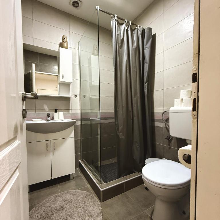Apartments Velickovic - Apartman - 8