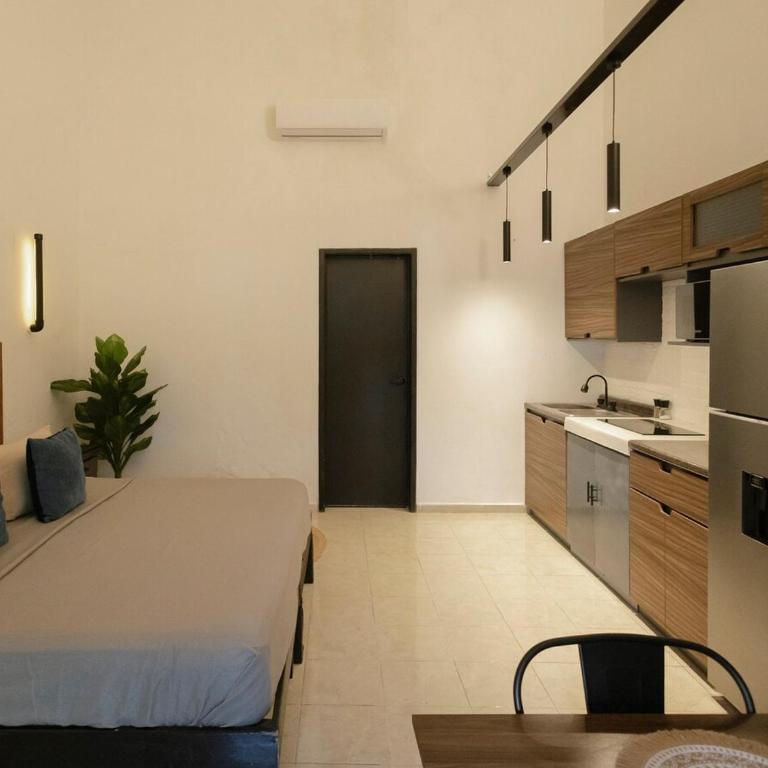 Loft en el centro de Valladolid a 1 cuadra del parque principal - Apartamento de 1 dormitorio - 5