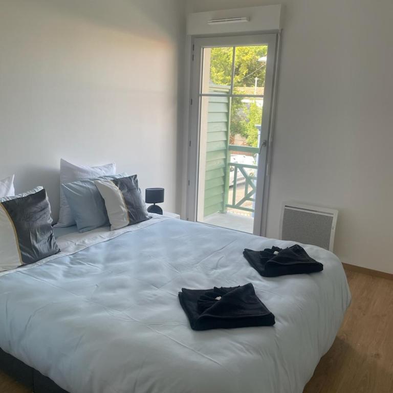 Maison au coeur du Bassin d'Arcachon - Casa de 2 dormitorios - 9