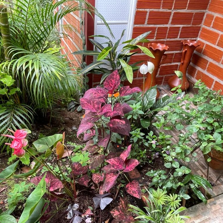 HuasiYaku - Two-Bedroom House - 9