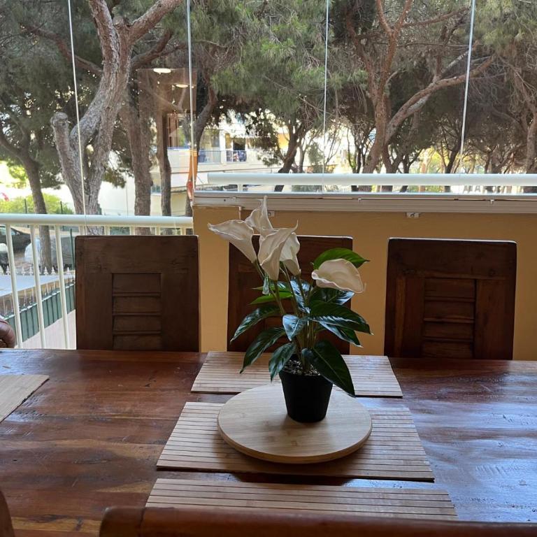 Refugio de la Playa y Bosque - Apartamento de 2 dormitorios - 27