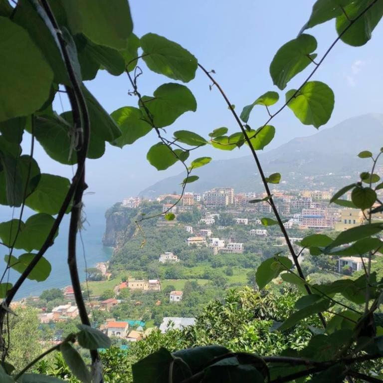 Maison il Pozzo Holiday Home on Via Punta la Guardia - One-Bedroom Apartment - 22