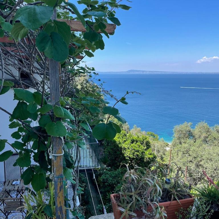 Maison il Pozzo Holiday Home on Via Punta la Guardia - One-Bedroom Apartment - 26