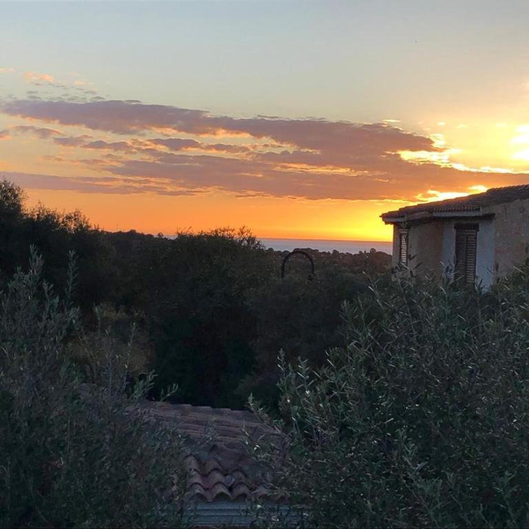 Sa Onda - Appartamento con 1 Camera da Letto - 2