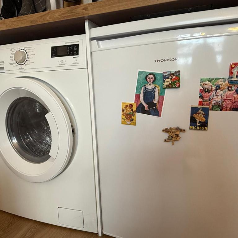 Appartement cosy à deux pas de la Cité Universitaire, accès direct RER B depuis l'aéroport, animaux acceptés - Appartement 1 Chambre - 15