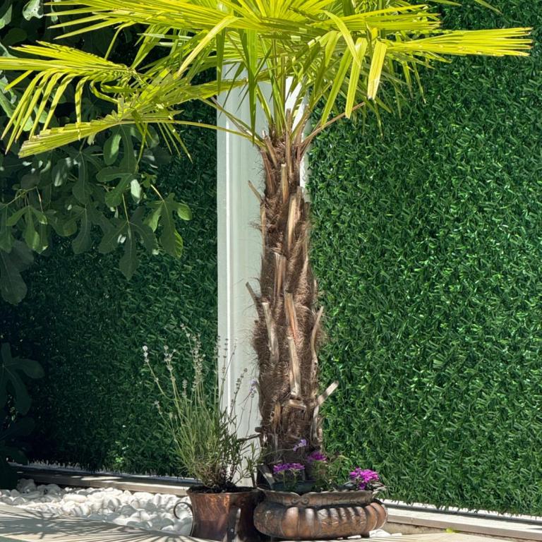 Vila Safra - Superior Apartman sa 1 Spavaćom Sobom - 20