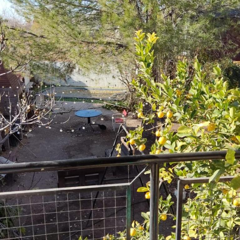 Casita del Árbol - Apartamento de 1 dormitorio - 2