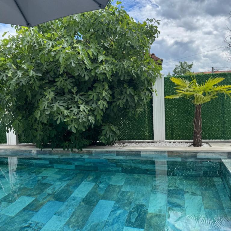 Vila Safra - Superior Apartman sa 1 Spavaćom Sobom - 18