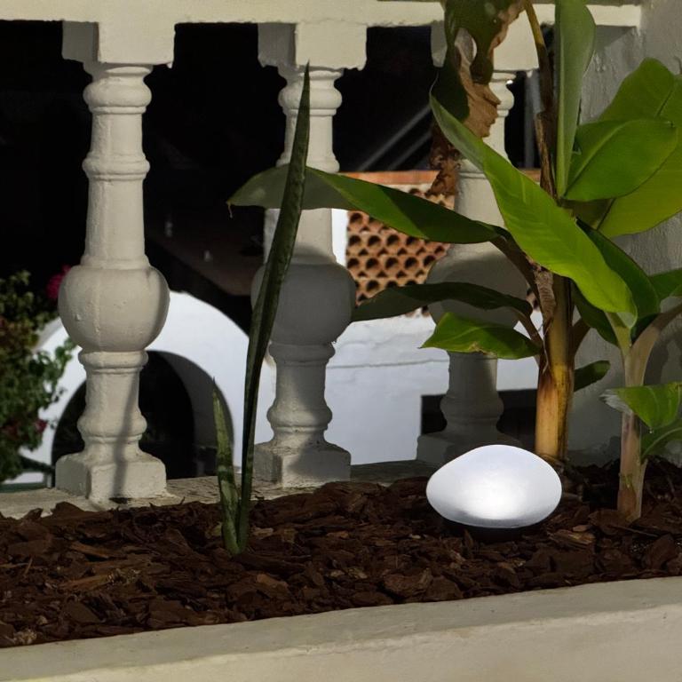 Bajamar 24 - Apartamento de 2 dormitorios - 45