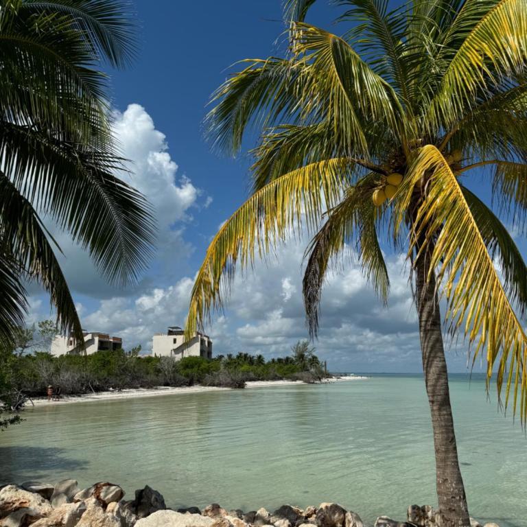 Ocean View 2 Bedroom Apartment in Punta Cocos - A201 - Apartamento con vistas al mar - 20