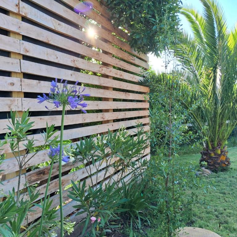 Yali paraiso - Three-Bedroom House - 56