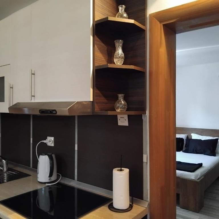 S&L Studio Mostar - One-Bedroom Apartment with Terrace - 8
