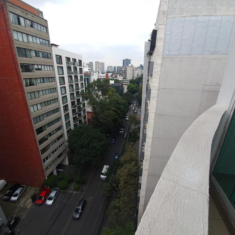 Nice and large apartment in Polanco - Two-Bedroom Apartment - 13