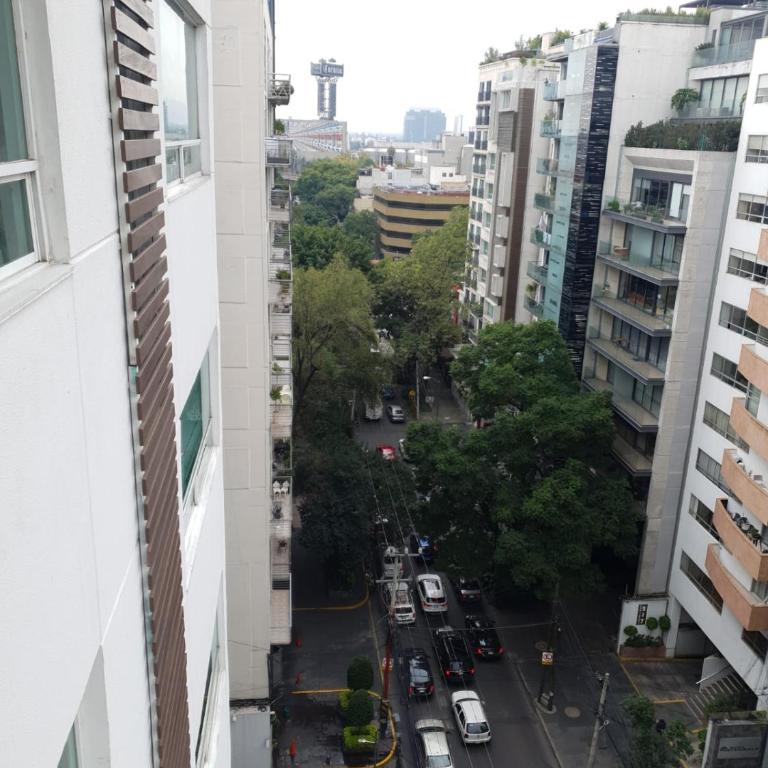 Nice and large apartment in Polanco - Two-Bedroom Apartment - 19