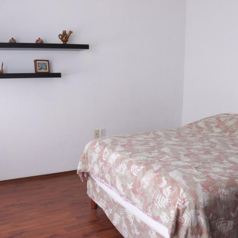 Nice and large apartment in Polanco - Two-Bedroom Apartment - 21
