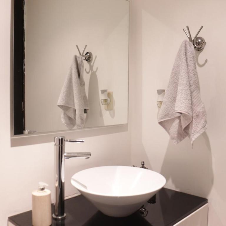Nice and large apartment in Polanco - Two-Bedroom Apartment - 25