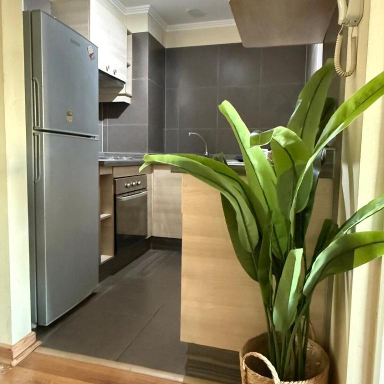 Departamento 2 d y 1 b cálido y moderno - Apartamento de 1 dormitorio - 6