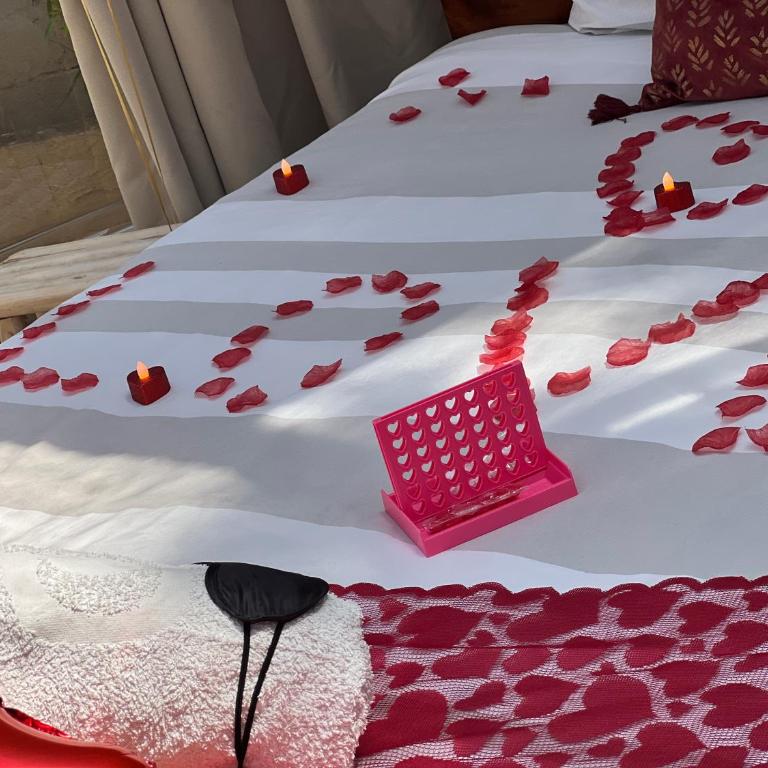 Bulle insolite avec jacuzzi privé - Nature & romantisme a Fréjus - Apartment mit 1 Schlafzimmer - 2