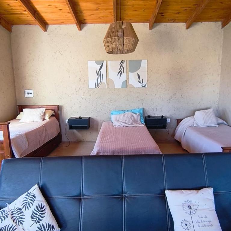 Departamento Vida Paz - Casa con 1 dormitorio - 2