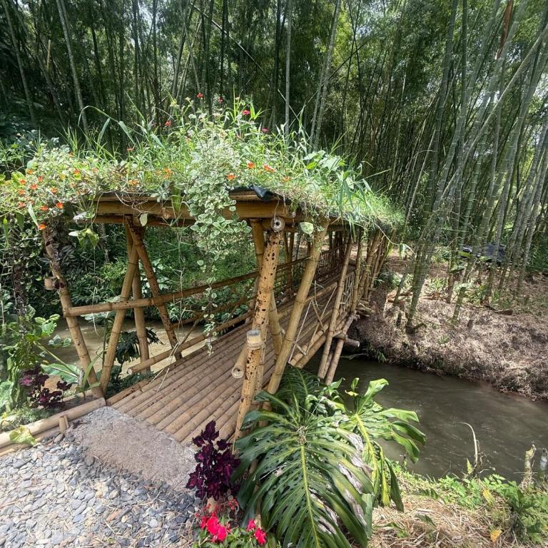 Casa RIO - Luxury Above the River - Deluxe Villa - 62