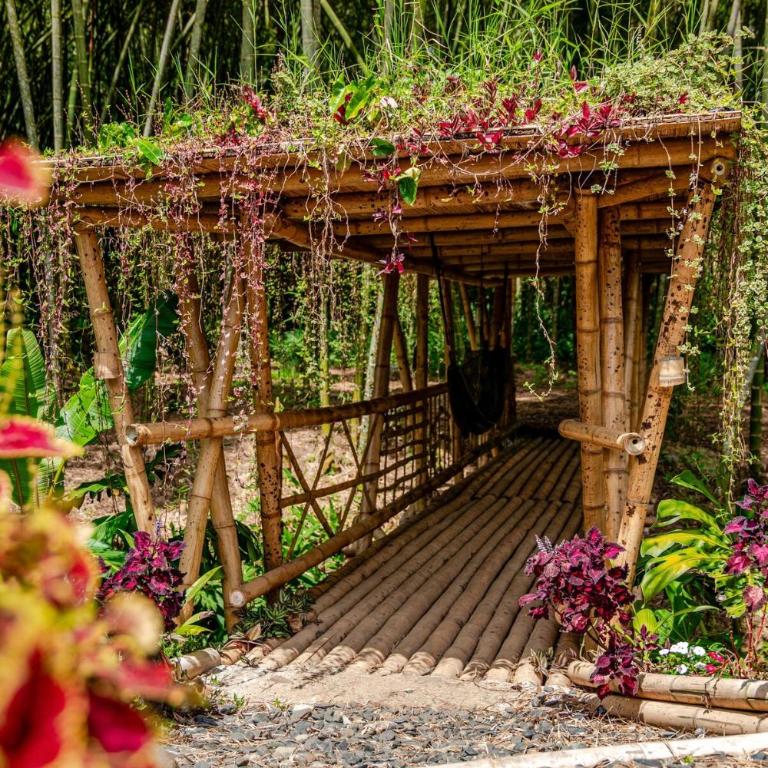 Casa RIO - Luxury Above the River - Deluxe Villa - 72